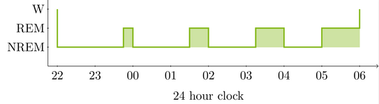 Vereinfachtes Schlafprofil eines Menschens. Innerhalb des achtstündigen Schlafs wechseln sich REM- und NREM-Schlafphasen beginnend mit einer NREM-Phase ab. Insgesamt werden vier Zyklen gezeigt.